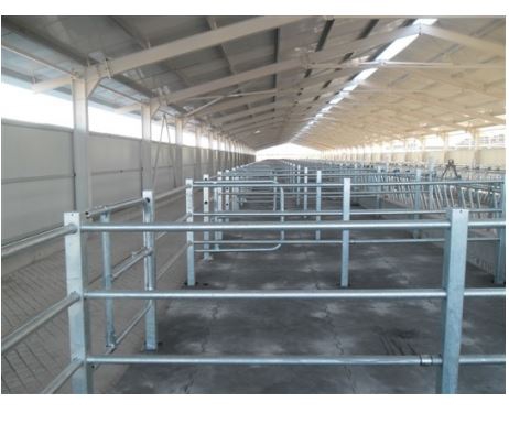 Gezinti Alanı Padok Demiri