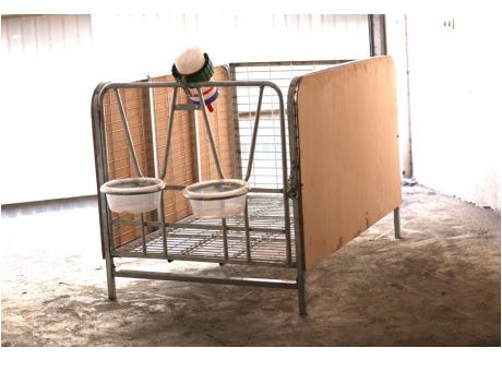 Kapalı Alan Buzağı Kulübesi